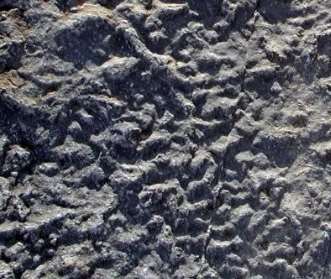 ������߽y(t��ng)�ҵĻ���