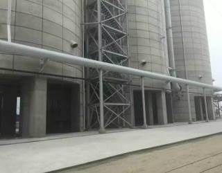 ��ú�Ҷ����Xһ��